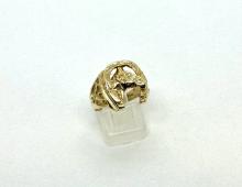 Ring hoefijzer paard Ring hoefijzer paard