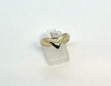 Ring V-model Ring V-model